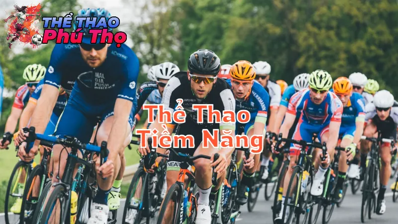 Các Giải Thể Thao Tiềm Năng Tại Phú Thọ