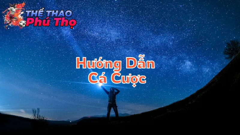 Hướng Dẫn Cá Cược Thể Thao Cho Người Mới