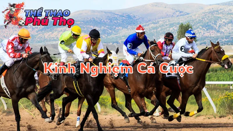 Kinh Nghiệm Cá Cược Thành Công