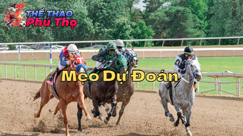 Mẹo Dự Đoán Kết Quả Thể Thao