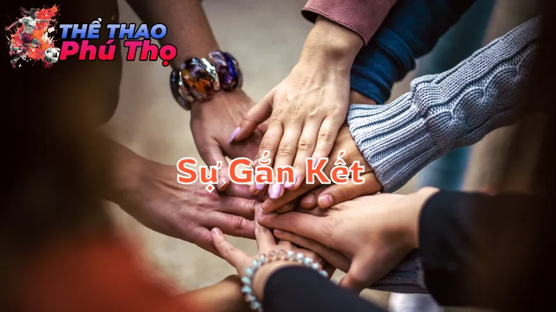 Sự Gắn Kết Của Cộng Đồng Qua Thể Thao