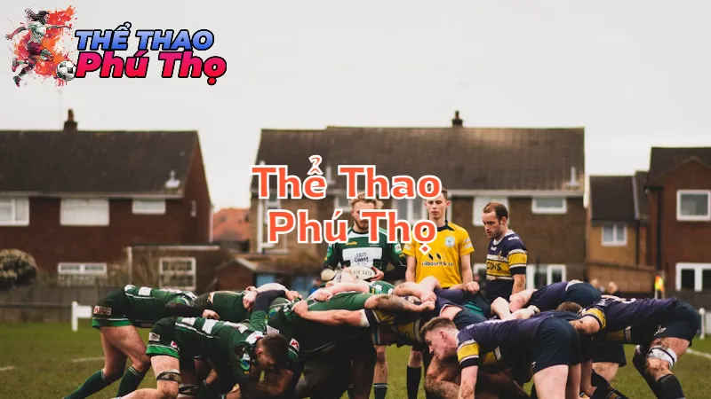 Thể Thao Phú Thọ: Khám Phá Đam Mê Địa Phương